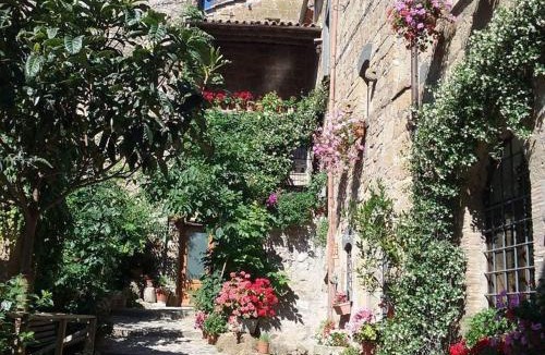 Civita di Bagnoregio House | Gerani Rossi
