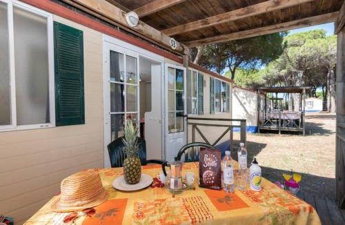 Zadina Pineta House | great mobile home in Cesenatico