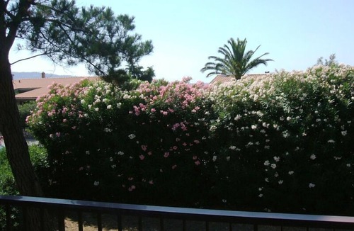 Giannella House | Holiday house for 8 persons approx. 180 qm in Giannella, Tuscany (Maremma)