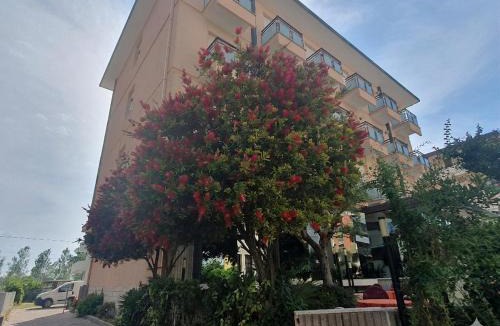 Torre Pedrera Hotel | Hotel Conti