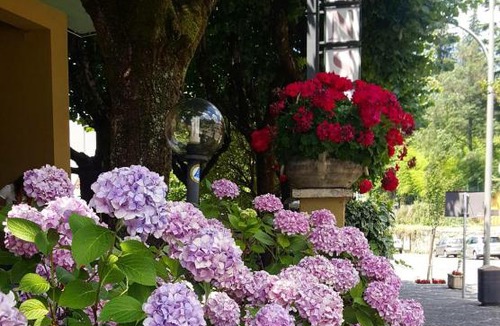 Fiuggi Hotel | Hotel Delle Ortensie