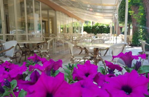 Cesenatico Hotel | Hotel Gioiosa