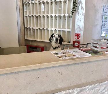 Tagliata Hotel | Hotel President