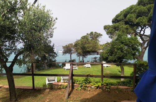 Portoferraio Hotel | Hotel Viticcio