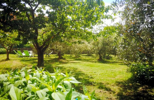 Monteverdi Marittimo Apartment | HOUSE WITH GARDEN ON THE TUSCAN HILLS about 20 minutes from the sea WI-FI FREE