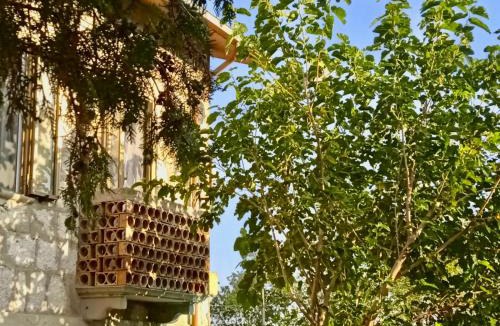 Pennadomo Bed & Breakfast | i 3 falchi Bed & Breakfast