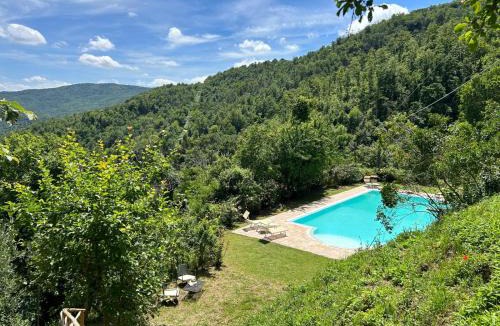 Pieve di Chio Apartment | Il Castellare con alpaca