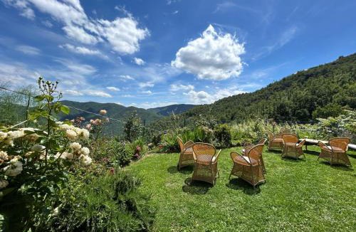 Pieve di Chio Apartment | Il Castellare con alpaca