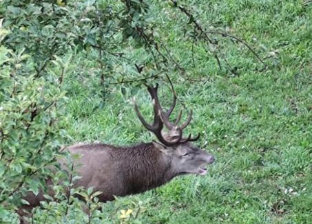 San Marcello Pistoiese House | Il Ceppo