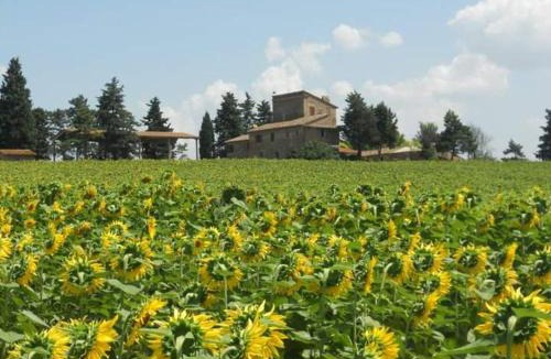 Collestrada House | Il Fortino di San Francesco