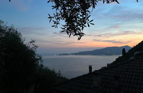 Zoagli Apartment | Il Frantoio di Pietro