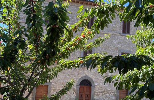 Acqua Loreto House | Il Palazzo del Borgo - Affittacamere