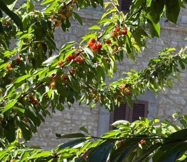 Acqua Loreto House | Il Palazzo del Borgo - Affittacamere
