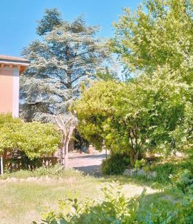 Volterra Apartment | Il Pettirosso - La vacanza a Volterra, in Toscana