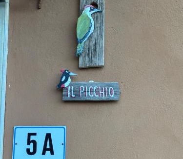 Castiglione dei Pepoli Apartment | Il Picchio