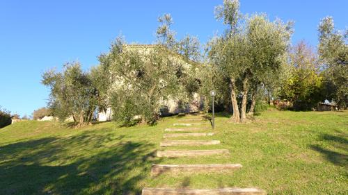 Castiglione in Teverina House | Il Poggio Dell'Artilla