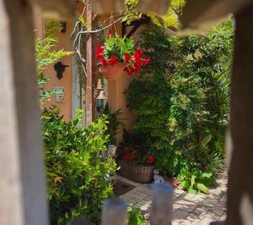 Cannara House | Il Vialetto