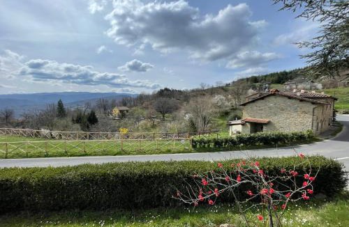 Pratovecchio House | L'Orto di Scarpaccia