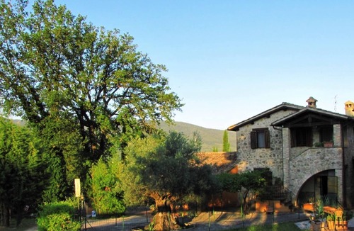 Massa Martana Villa | L'ulivo secolare, Exclusive and pacefull Property in Umbria Massa Martana