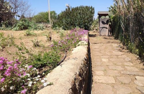 Ventotene House | La Cantina