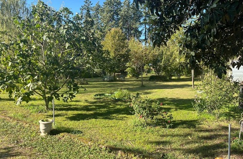 Fabrica di Roma Apartment | La Casa Dei Fiori-Oasis of peace in Fabrica di Roma