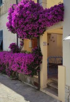 Cavo Apartment | La casa dei Nonni