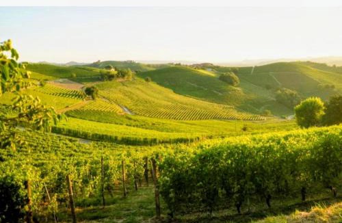 Guarene Apartment | La casa delle Langhe