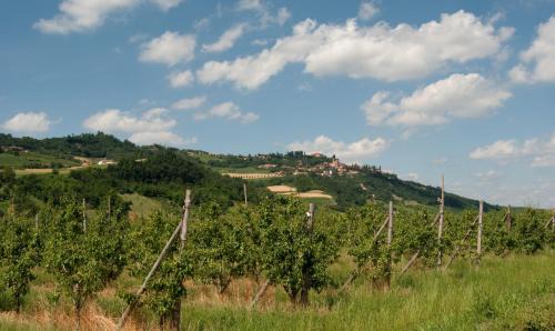 Guarene Apartment | La casa delle Langhe