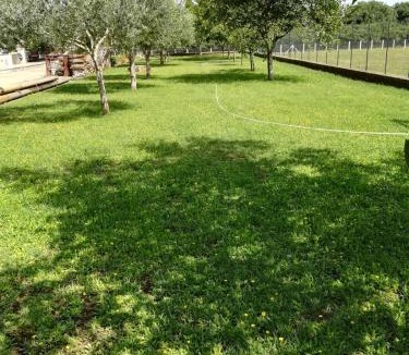Castel Sant'Elia Apartment | La Casa di Ori