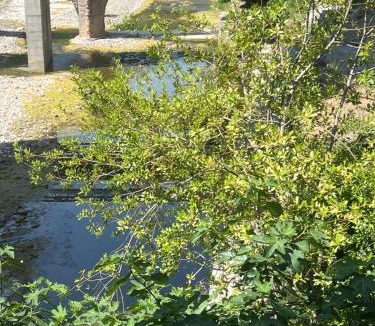 Rastignano Bed & Breakfast | La Casa sul Fiume Bologna