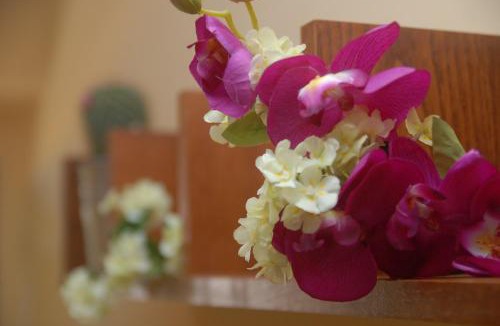 Viterbo House | La Casina Nel Borgo