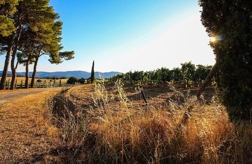 Magliano in Toscana House | La Centurina
