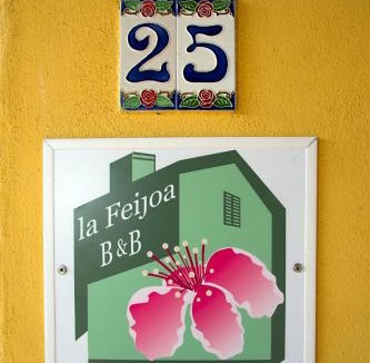 Segni Apartment | La Feijoa
