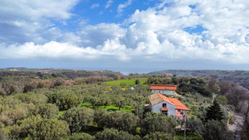 Rocca San Giovanni Apartment | La Finestra sugli Ulivi