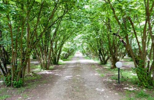 Ronciglione Bed & Breakfast | La Finestra sul Lago