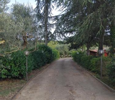 Soriano nel Cimino Apartment | La Pace