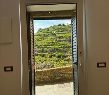 Manarola Apartment | La Perla Marina