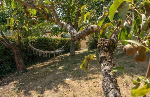 Todi Villa | La Piccola Oasi by Great Stays