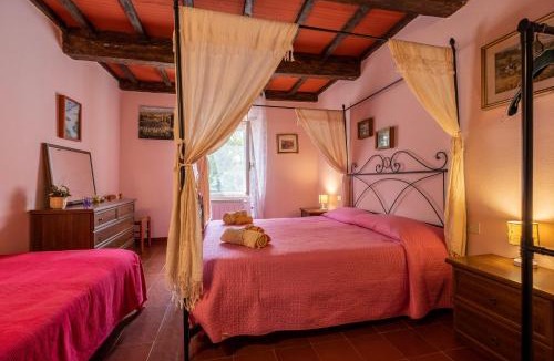 Magliano in Toscana House | La pieve - Rose