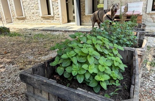 Guiglia Apartment | La Rocchetta B&B