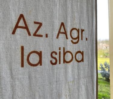 Forli Bed & Breakfast | La Siba Experience