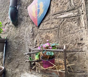 Ronciglione House | La torretta nel borgo