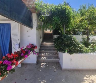 Le Forna Apartment | Le Case dei Pescatori - Villa delle Rose
