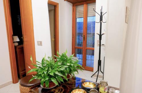 Paliano Apartment | Le Magnolie Paliano appartamento 120 mq