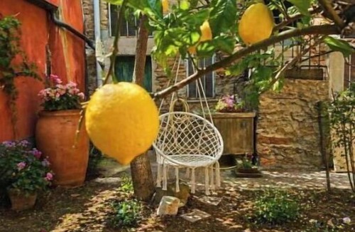 Villa Viani House | Lemon Grove.