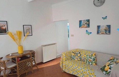 Villa Viani House | Lemon Grove.