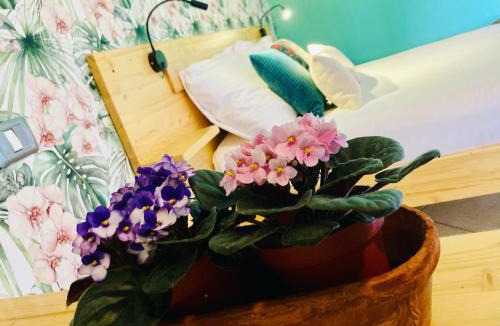 Prunetto Bed & Breakfast | Locanda del Borgo in Langa