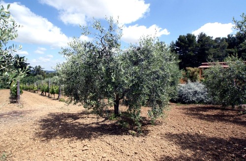 Orbetello Villa | Luscious villa&gardens by Maremma Park, Orbetello, Talamone, couples 10% off