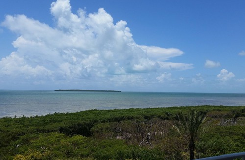 Tavernier Condo | Ocean Front, Marina, Pool/Hot Tub, Private Beach, Bar/Cafe