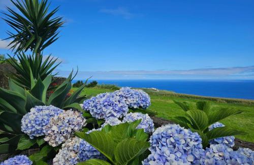 Nordeste Apartment | Ocean View - Nordeste